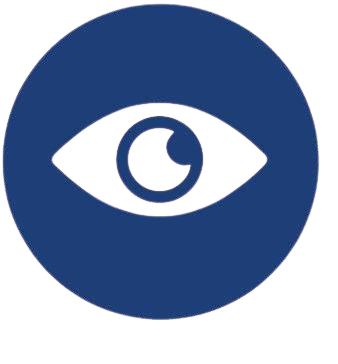 Vision Icon